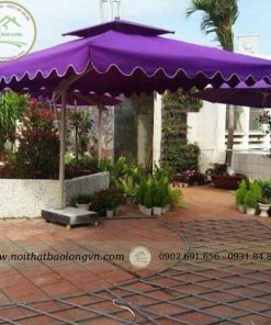 Dù lệch tâm vuông màu tím